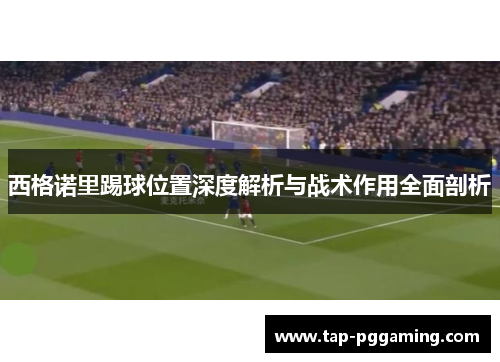 西格诺里踢球位置深度解析与战术作用全面剖析 西格诺里踢球位置深度解析与战术作用全面剖析