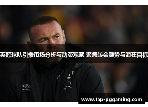 英冠球队引援市场分析与动态观察 聚焦转会趋势与潜在目标
