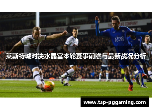 莱斯特城对决水晶宫本轮赛事前瞻与最新战况分析