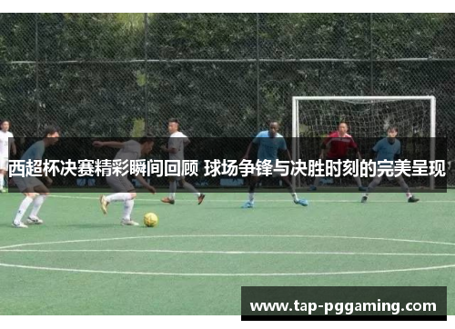 西超杯决赛精彩瞬间回顾 球场争锋与决胜时刻的完美呈现