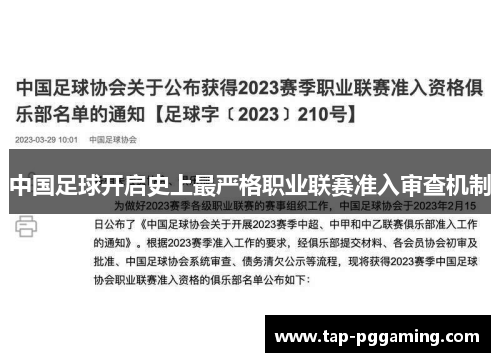 中国足球开启史上最严格职业联赛准入审查机制