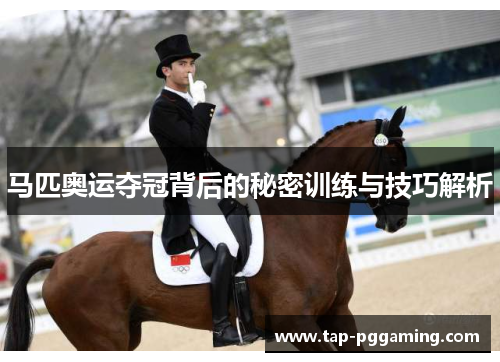 马匹奥运夺冠背后的秘密训练与技巧解析
