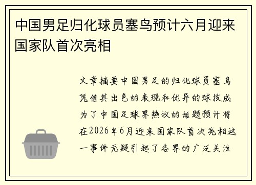 中国男足归化球员塞鸟预计六月迎来国家队首次亮相