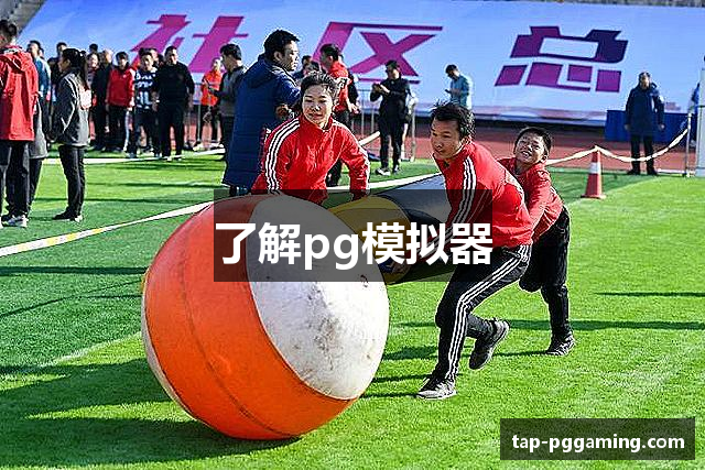 了解pg模拟器